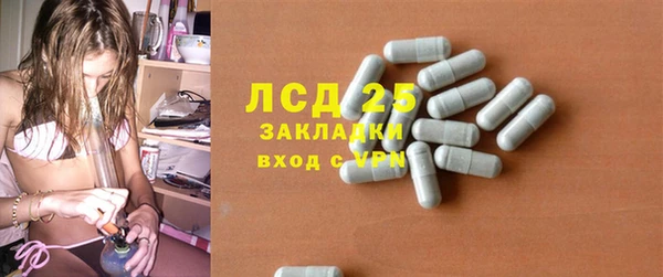 крисы Абдулино