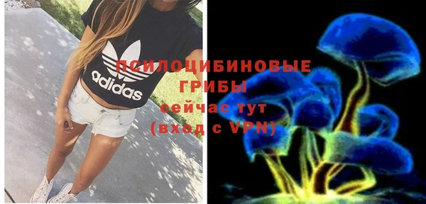 крисы Абдулино