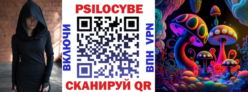 цена Азов Псилоцибиновые грибы Psilocybe